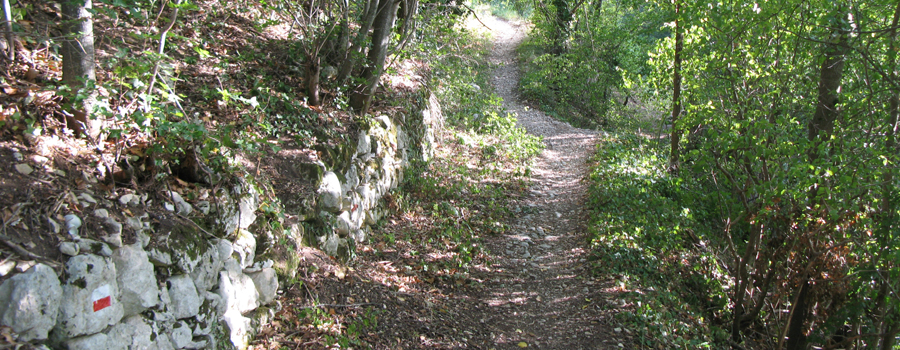 Monte Nerone Sentiero 1 - immagine 3