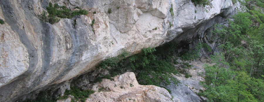 Monte Nerone Sentiero 1 - immagine 4