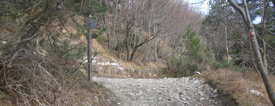 Monte Carpegna Sentiero 106 - immagine 5