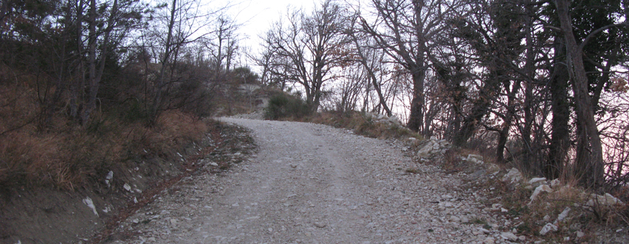 Monte Carpegna Sentiero 107 - immagine 4