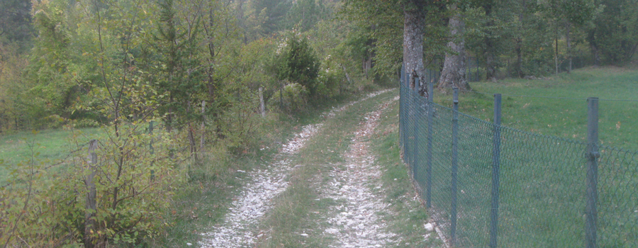 Monte Carpegna Sentiero 107A - immagine 4