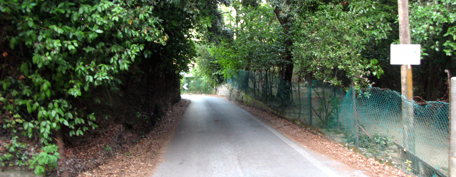 Parco Monte San Bartolo Sentiero 152a - immagine 3