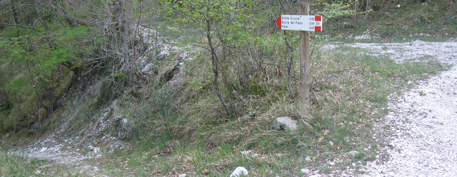 Monte Nerone Sentiero 18 - immagine 2