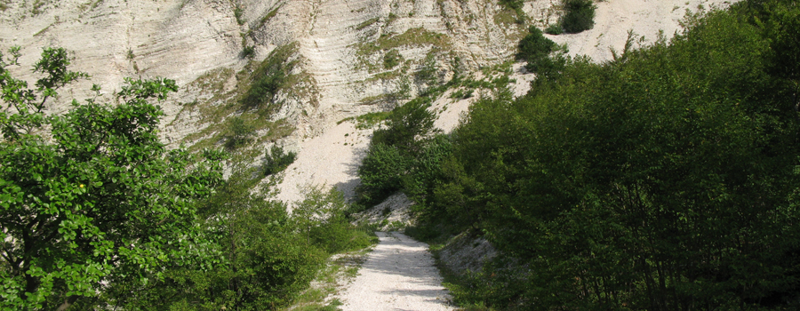 Monte Nerone Sentiero 18 - immagine 7