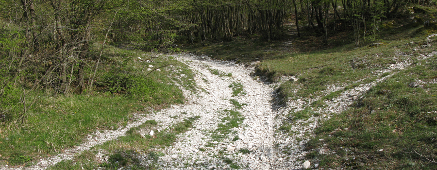 Monte Nerone Sentiero 26 - immagine 7