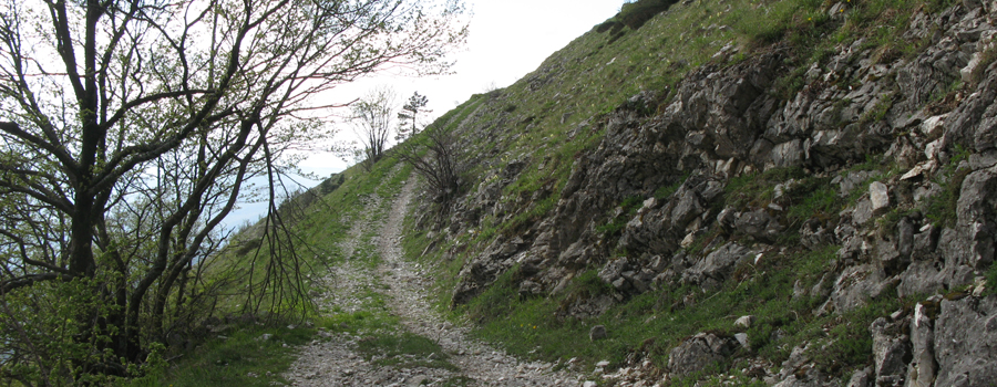 Monte Nerone Sentiero 26 - immagine 9