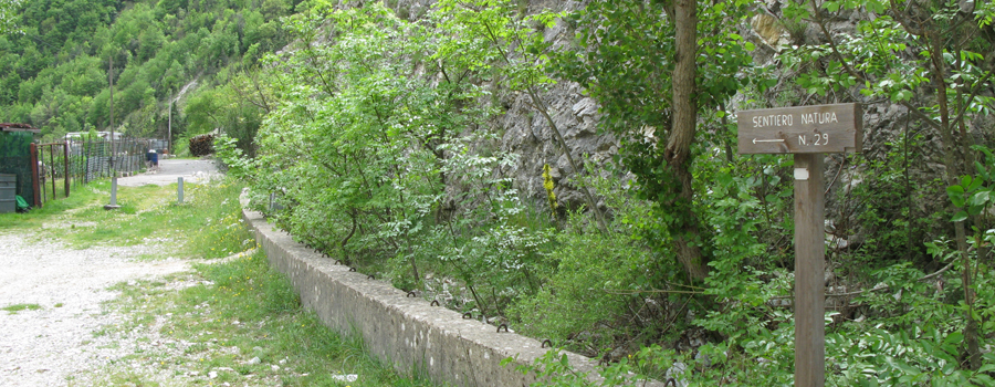 Monte Nerone Sentiero 29 - immagine 1