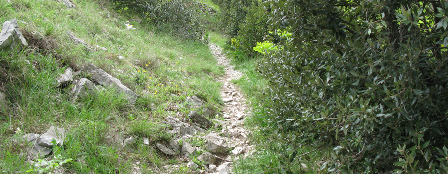 Monte Nerone Sentiero 29 - immagine 3