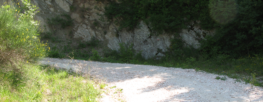 Monte Nerone Sentiero 3 - immagine 4
