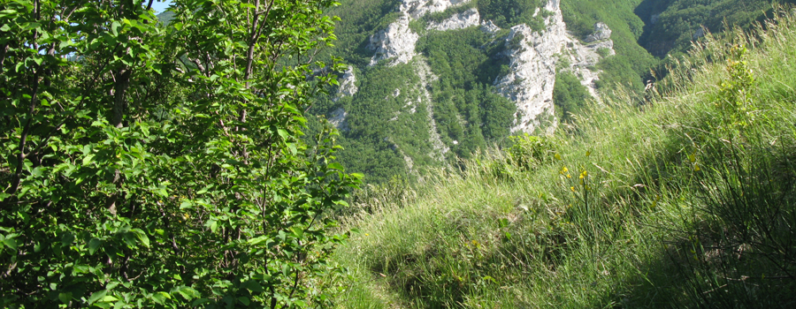 Monte Nerone Sentiero 3 - immagine 8