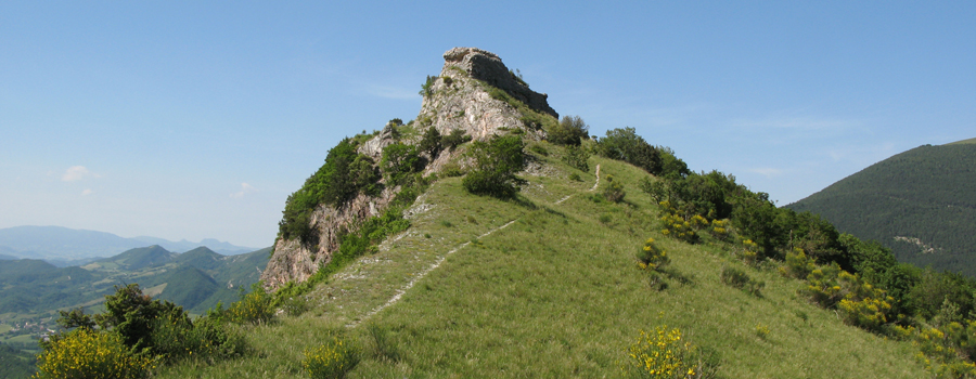 Monte Nerone Sentiero 3 - immagine 11 (I Muracci)