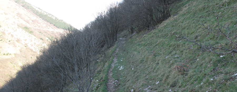 Monte Nerone Sentiero 31 - immagine 12