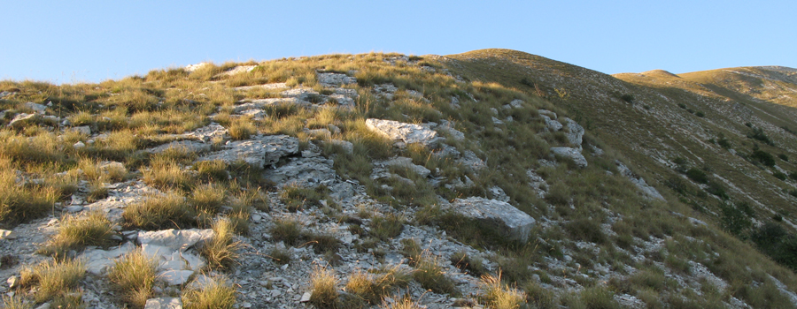 Monte Catria Sentiero 54 - immagine 3