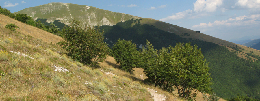 Monte Catria Sentiero 63 - immagine 2