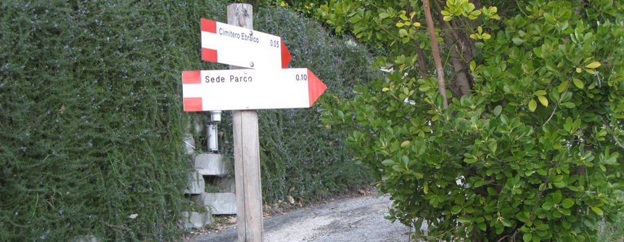 Parco Monte San Bartolo Sentiero Natura - immagine 6