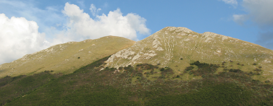 Vista del Monte Acuto